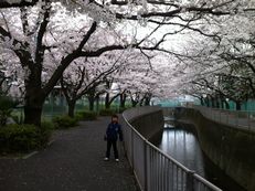picture