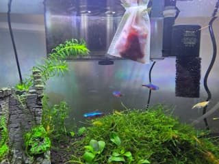民間療法侮るなかれに掲載されていた画像