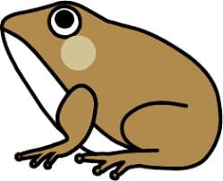 親心に掲載されていた画像