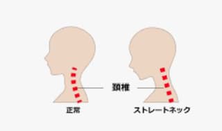 この仕事はデスクワーク？に掲載されていた画像