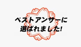ベストアンサーを探してに掲載されていた画像