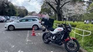 満開の小金井公園に掲載されていた画像