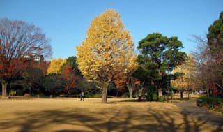 師も走りまくる年末に掲載されていた画像