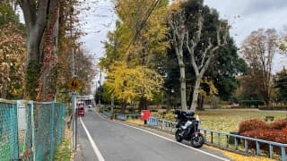 初冬の楽しみ方に掲載されていた画像