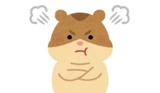 なぜかご立腹？に掲載されていた画像
