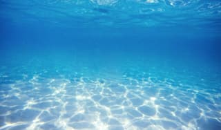 水の中でしか得られないモノに掲載されていた画像
