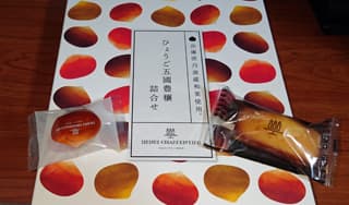 大阪リベンジャーズに掲載されていた画像