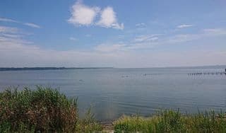 霞ヶ浦に掲載されていた画像
