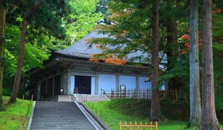 不思議なタイミングに掲載されていた画像