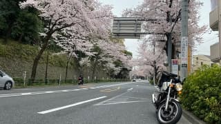 幾たびの桜に掲載されていた画像