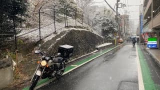 童心になれないに掲載されていた画像