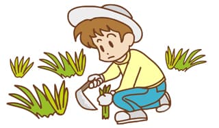 ネガティブな印象とはに掲載されていた画像