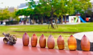 スキルの均一化に掲載されていた画像