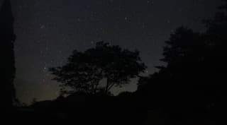 夜中の知らない世界に掲載されていた画像