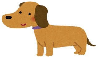 この犬は？に掲載されていた画像