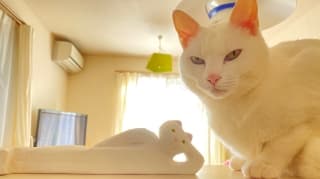 元日の出来事に掲載されていた画像