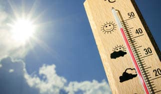高温のせい？に掲載されていた画像