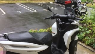 長い梅雨も頑張るに掲載されていた画像