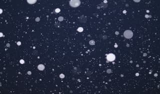 雪とウイルスに掲載されていた画像