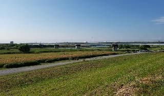 住所ではほぼ無理に掲載されていた画像