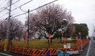 暖冬といえどに掲載されていた画像