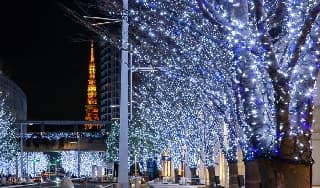 イルミネーションに掲載されていた画像