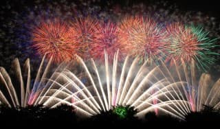 夏の夜に花を咲かせたい人に掲載されていた画像