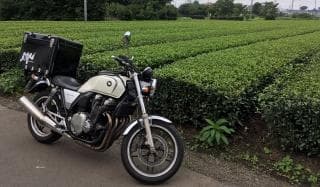 ミニワンとお茶畑に掲載されていた画像