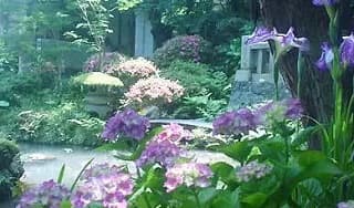 梅雨シーズンに掲載されていた画像