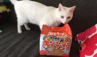 一袋の幸せに掲載されていた画像