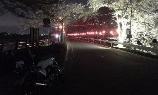 平成最後の桜に掲載されていた画像