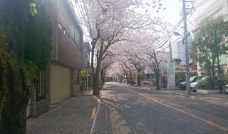 意外な名所に掲載されていた画像