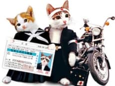 新しい境地に掲載されていた画像