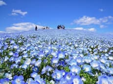 リアル極楽浄土に掲載されていた画像