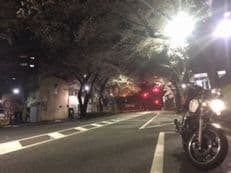 桜のトンネルに掲載されていた画像