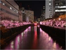 冬の風物詩に掲載されていた画像