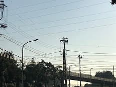 海浜公園に掲載されていた画像