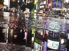 達人に掲載されていた画像