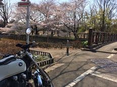 春の陽気に誘われてに掲載されていた画像