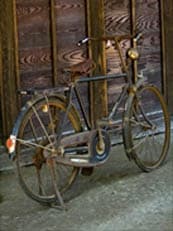 自転車の保険に掲載されていた画像