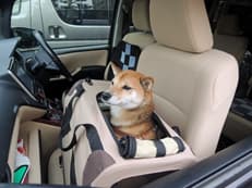 たそがれるワン介に掲載されていた画像