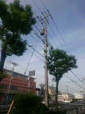 原因は？に掲載されていた画像