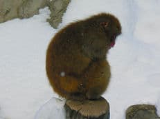 進化する防寒着に掲載されていた画像