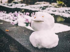 雪残りの小路に掲載されていた画像