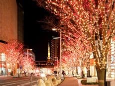 けやき坂Ｇａｌａｘｙイルミネーションに掲載されていた画像
