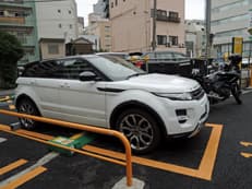 チップと雨脚に掲載されていた画像