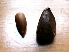 お裾分けに掲載されていた画像