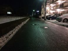黒いツルツルに掲載されていた画像