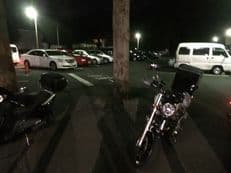 お正月の穴場スポットに掲載されていた画像