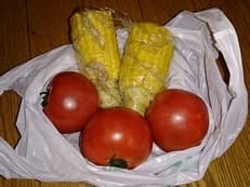 花火とトマトとトウキビとに掲載されていた画像